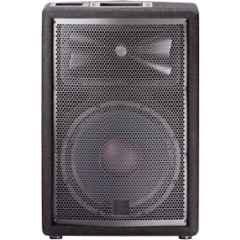 Sound Reinforcement Speaker