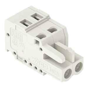 Wago 2.5 Sqmm 5mm 2 Pole Light Gray 1-Conductor Cage Clamp Female Connector, 721-102/026-000