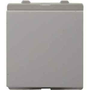 Schneider Electric Opale 16A 2 Module White Switch without Indicator, X1121WH